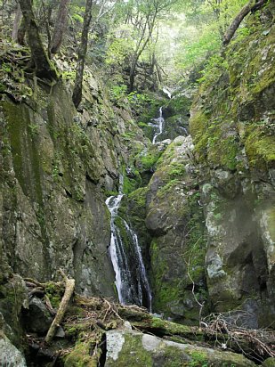 06.jpg