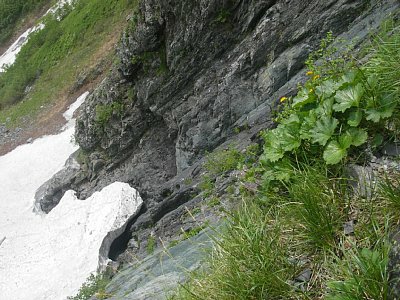 03.jpg