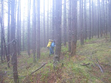 0605sukai0219.jpg