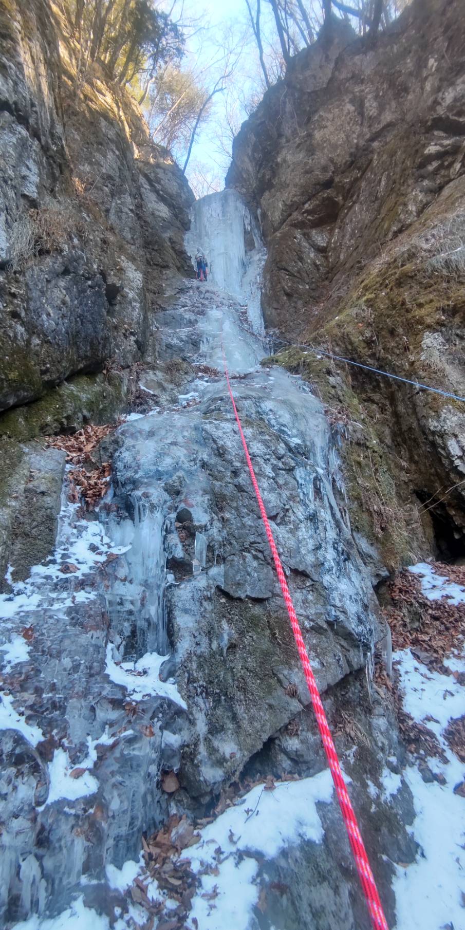 F2`F4r܂ł܂Ƃ߂ēoărCdy